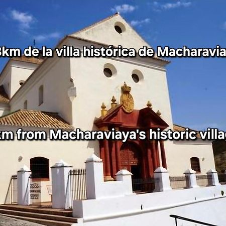 El Maurel Villa Малага Екстериор снимка